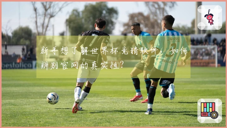 新手想了解世界杯竞猜软件，如何辨别官网的真实性？