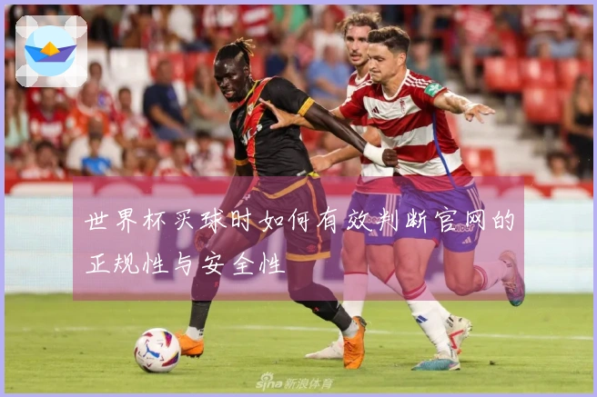 世界杯买球时如何有效判断官网的正规性与安全性
