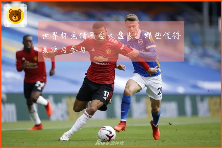 世界杯竞猜平台大盘点：哪些值得关注与参与
