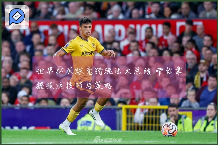世界杯买球竞猜玩法大总结 带你掌握投注技巧与策略