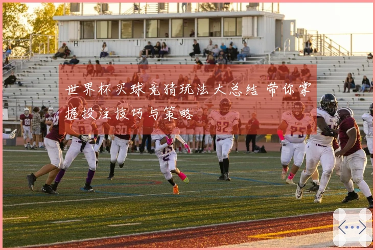 世界杯买球竞猜玩法大总结 带你掌握投注技巧与策略
